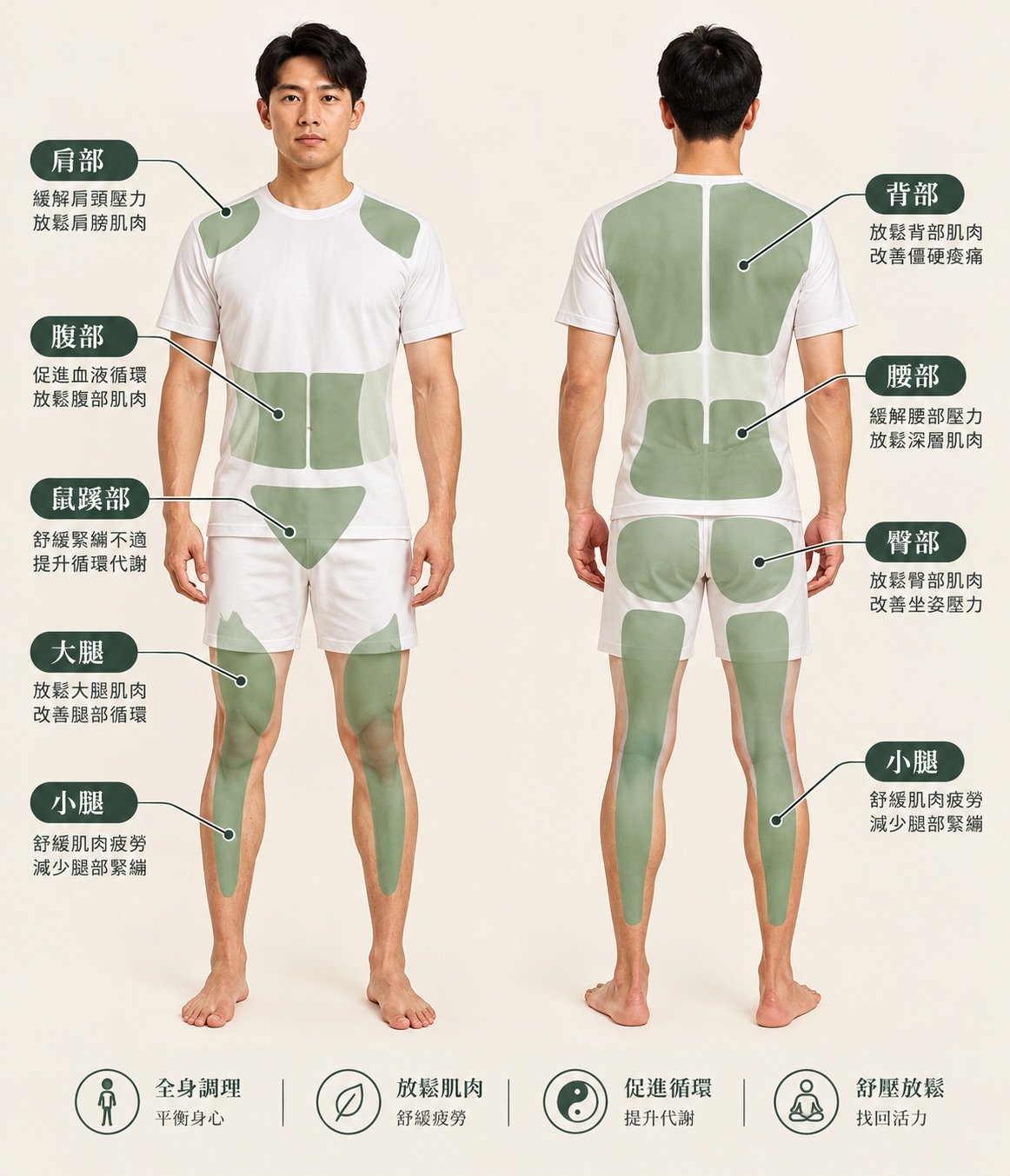 龍筋按摩調理部位示意圖：背部、大腿與小腿、腹部、龍筋